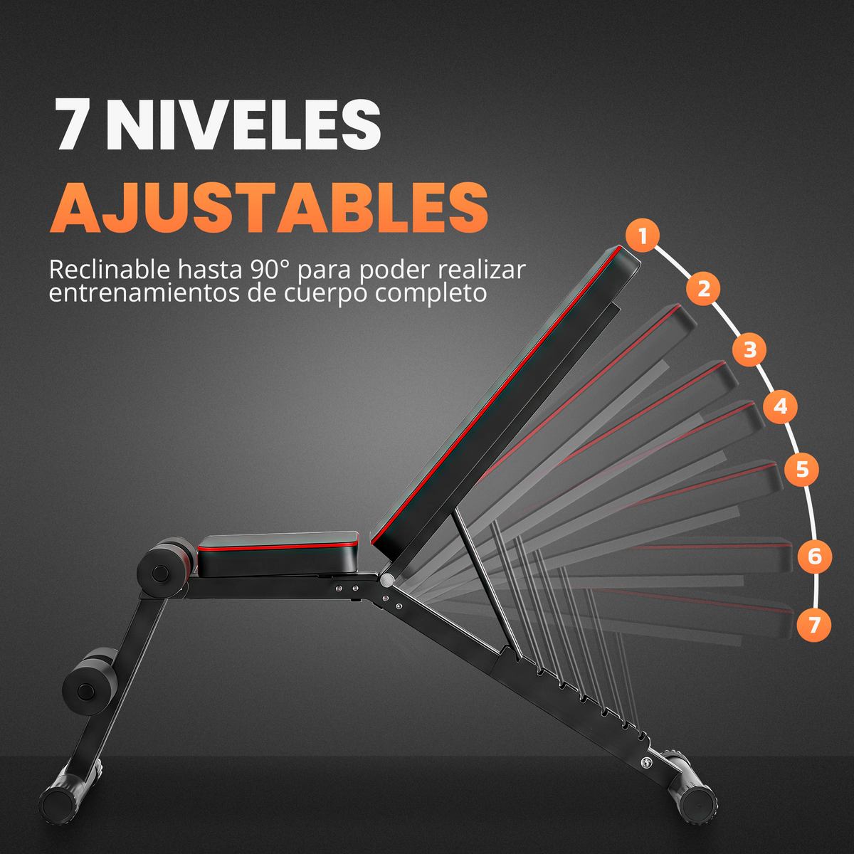 Banco de entrenamiento multifuncional Jupplies