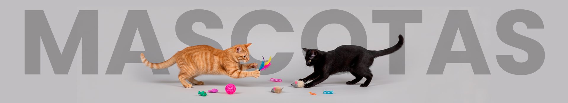 slider image slider_item_A9rQ69